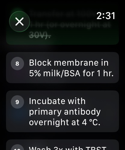Western blot protocol steps on Apple Watch
