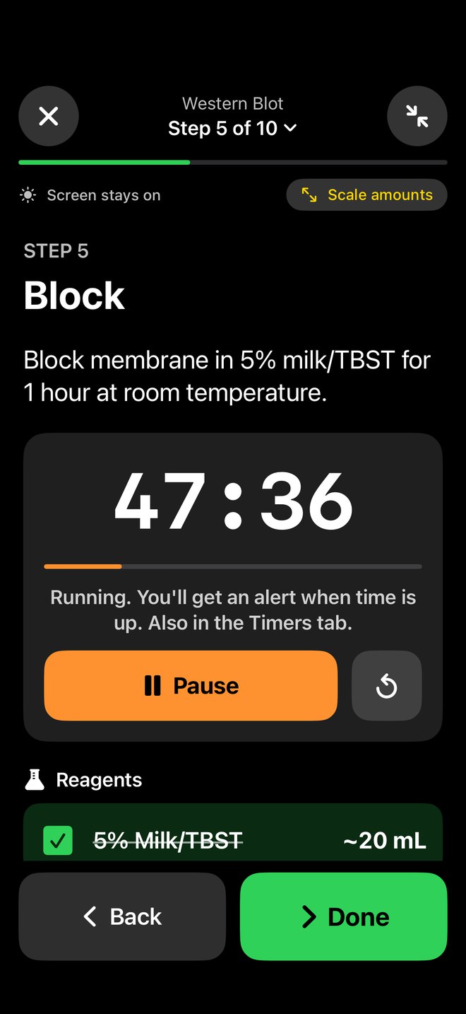 Bench Mode on iPhone: step 5 of a Western blot with a 47 minute step timer and a reagent checklist