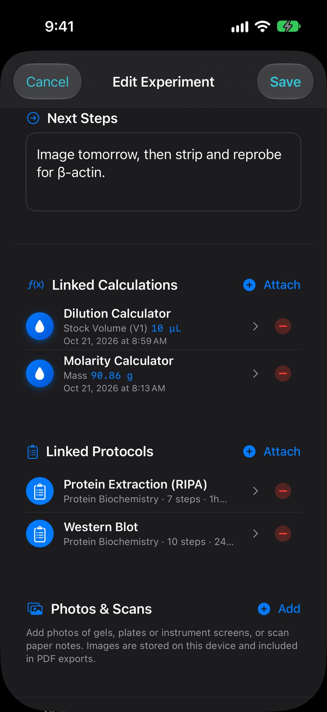 Notebook entry with next steps, linked dilution and molarity calculations, and linked protocols